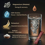 Elektrolytter + CDP-Choline, Mango & Yuzo (30 sticks)